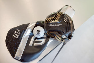 Future Force 3D print米開朗基羅+Future Flex❗️感謝這位長期支持的桃園客人