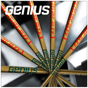 Future Flex Drive 1號木桿身 GENIUS